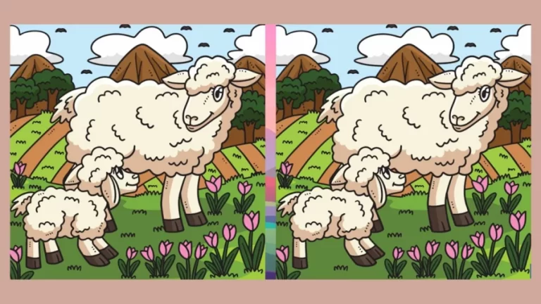 Brain Teaser Spot the Difference Puzzle: Can you Spot 3 Differences in these Pictures?