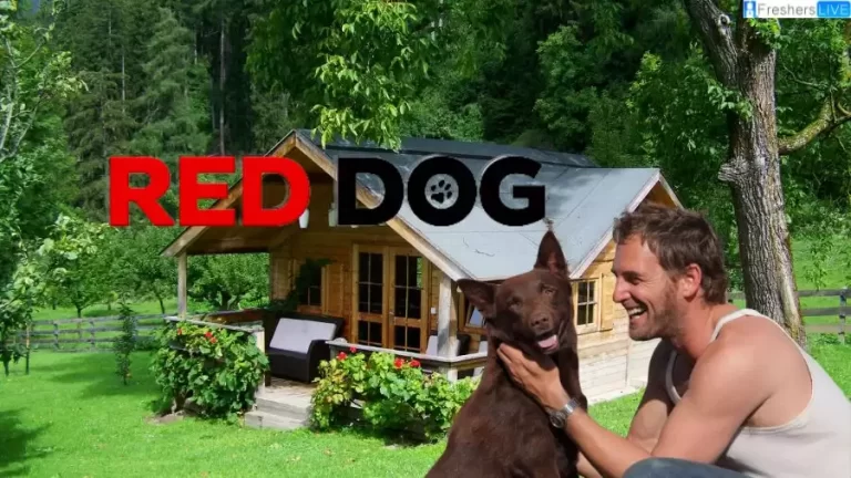 Is Red Dog a True Story? Where to Watch Red Dog?