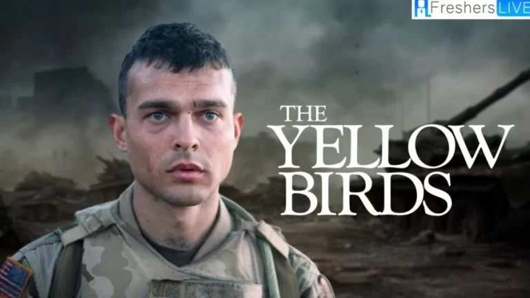 Is The Yellow Birds a True Story? Plot and Ending Explained