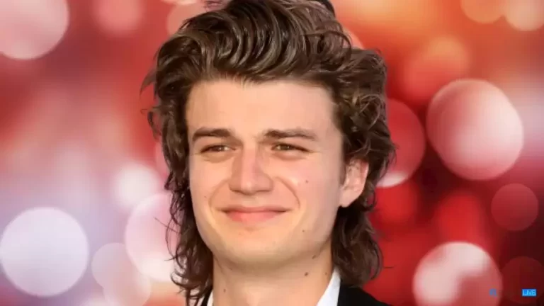 Joe Keery Girlfriend 2023, Who is Maika Monroe?