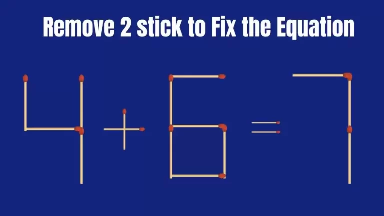 Matchstick Brain Teaser: 4+6=7 Remove 2 Matchsticks to Fix the Equation | Matchsticks Puzzle