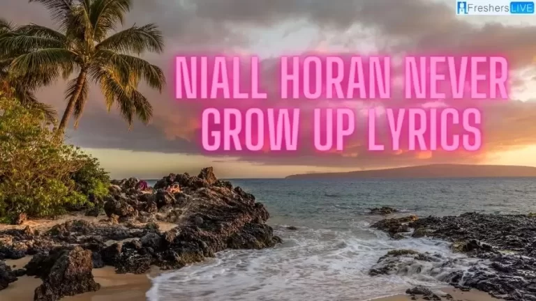 Niall Horan Never Grow Up Lyrics