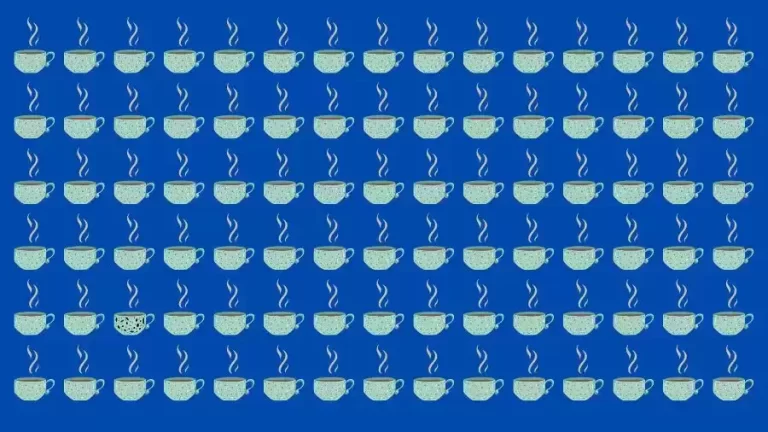 Observation Brain Test: Can you find the Odd Tea Cup in this Picture in 12 Secs?