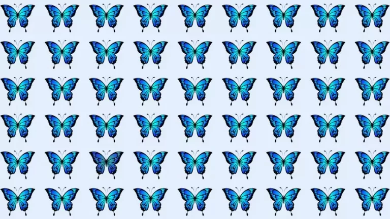 Observation Skills Test: Can you find the Odd Butterfly in 10 Seconds?