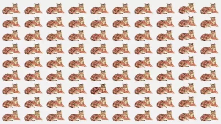 Observation Skills Test: Can you find the Odd Tiger in 10 Seconds?