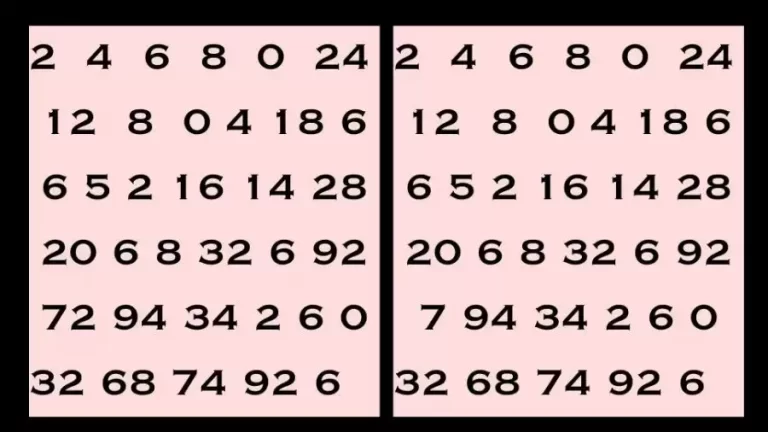 Observation Spot the Difference Game: If You Have Eagle Eyes Find the Difference Between Two Images Within 20 Seconds?