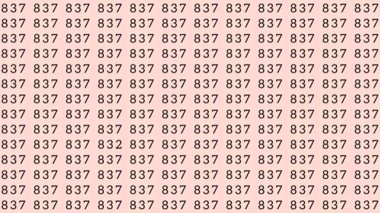 Optical Illusion Challenge: Find the Number 832 among 831 within 8 seconds