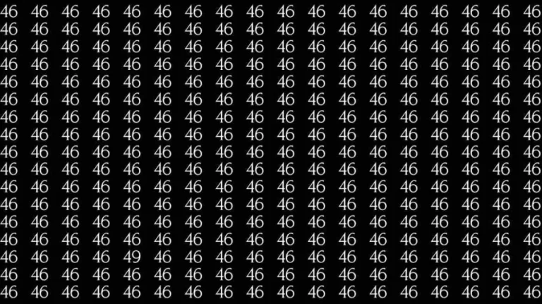 Optical Illusion Challenge: If you have Hawk Eyes Find the number 49 among 46 in 9 Seconds?