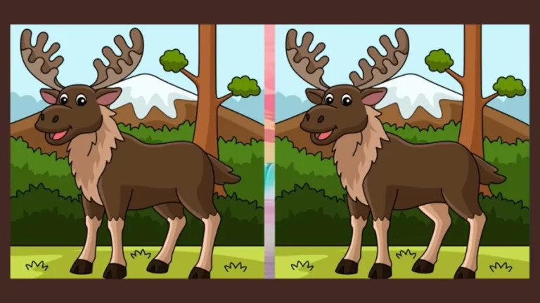 Optical Illusion Spot The Difference: If You Have Eagle Eyes Find the Difference Between Two Images With 20 Seconds?