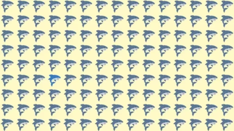 Optical Illusion: Try to find the Odd Shark in this Image