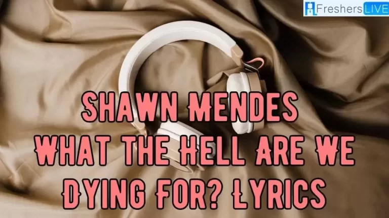 Shawn Mendes What the Hell Are We Dying For? Lyrics