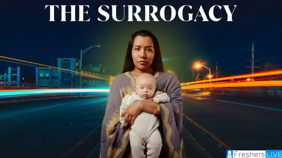 The Surrogacy Netflix Ending Explained The Plot Cast And Review Comprehensive English