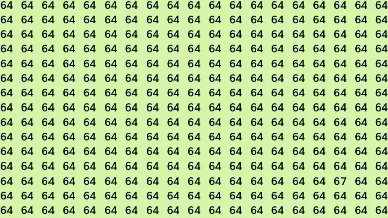 Observation Skill Test: If you have Sharp Eyes Find the Number 67 in 15 Secs