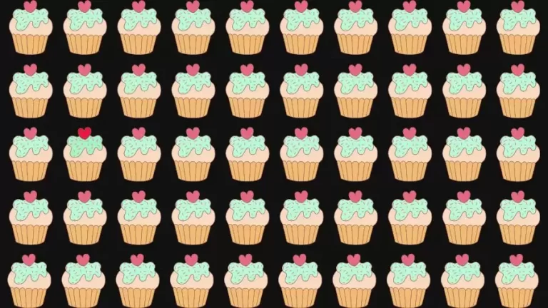 Optical Illusion Challenge: If you have Eagle Eyes find the Odd Cupcake in 15 Seconds