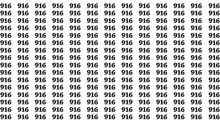 Observation Brain Challenge: If you have Eagle Eyes Find the number 919 in 12 Secs