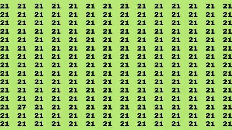 Observation Skill Test: If you have Sharp Eyes Find the Number 27 in 15 Secs