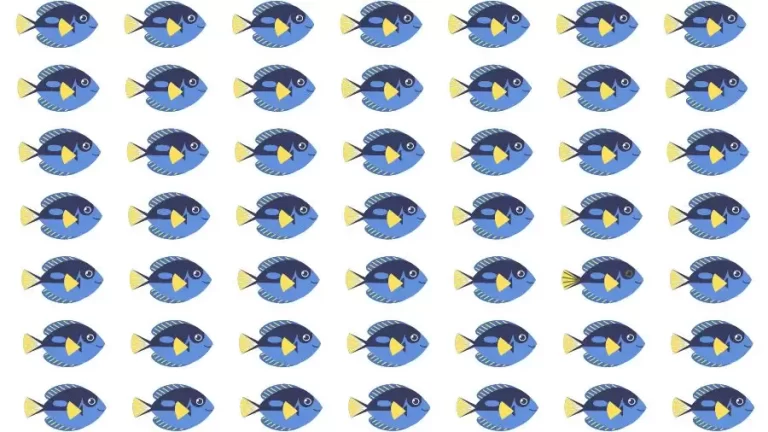 Optical Illusion Challenge: If you have Eagle Eyes find the Odd Fish in 15 Seconds