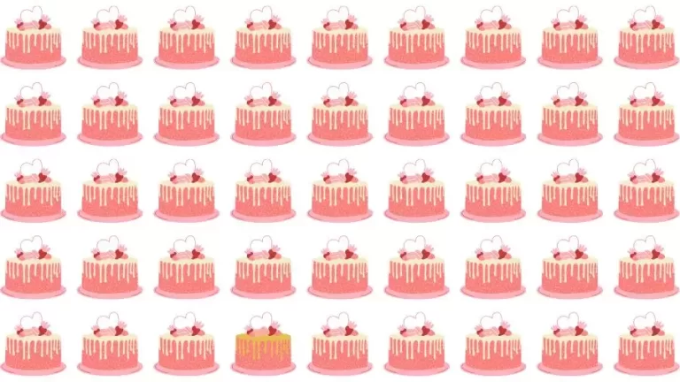 Optical Illusion Challenge: If you have Eagle Eyes find the Odd Cake in 15 Seconds