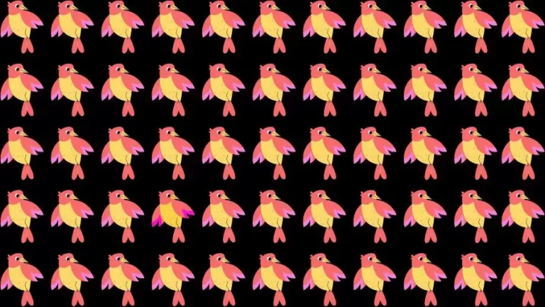 Optical Illusion Challenge: If you have Eagle Eyes find the Odd Bird in 15 Seconds