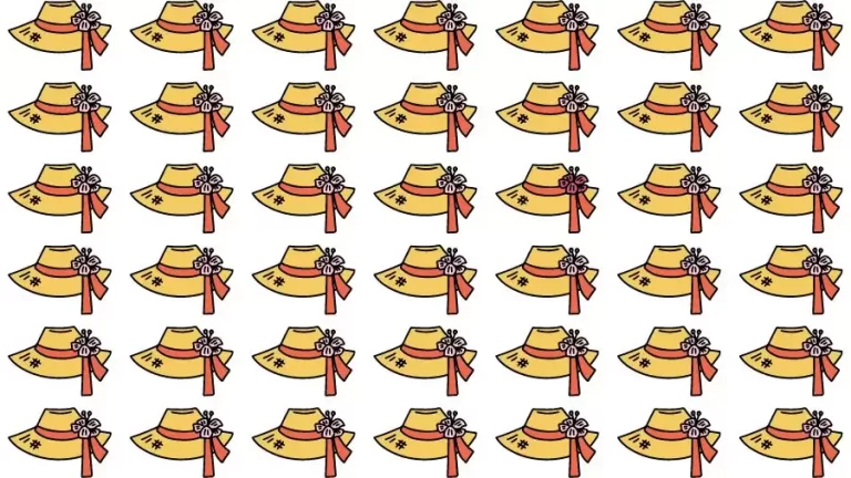 Optical Illusion Challenge: If you have Eagle Eyes find the Odd Hat in 15 Seconds