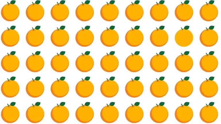 Optical Illusion Challenge: If you have Eagle Eyes find the Odd Orange in 15 Seconds