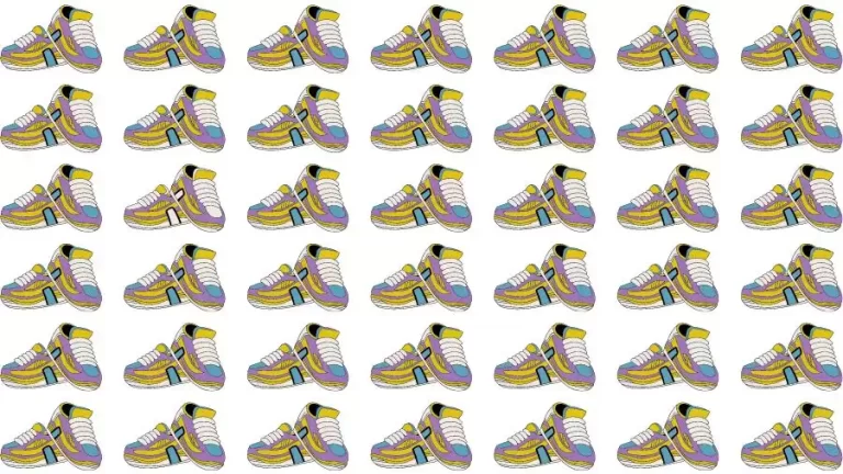 Optical Illusion Brain Test: If you have Eagle Eyes find the Odd Shoes in 8 Seconds