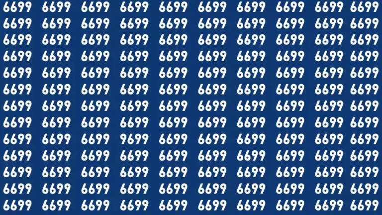 Observation Brain Test: If you have 50/50 Vision Find the Number 9699 in 15 Secs