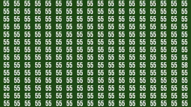 Test Visual Acuity: If you have Eagle Eyes Find the Number 58 in 15 Secs