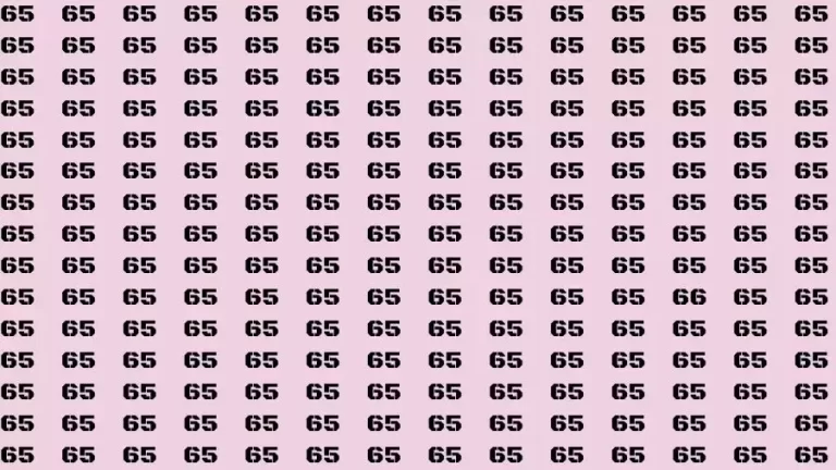 Observation Skill Test: If you have Sharp Eyes Find the Number 66 in 15 Secs