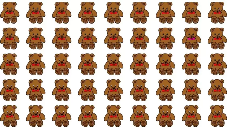 Optical Illusion Challenge: If you have Eagle Eyes find the Odd Teddy in 15 Seconds