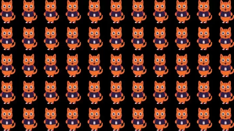 Optical Illusion Brain Test: If you have Sharp Eyes Find the Odd Cat in 11 Secs