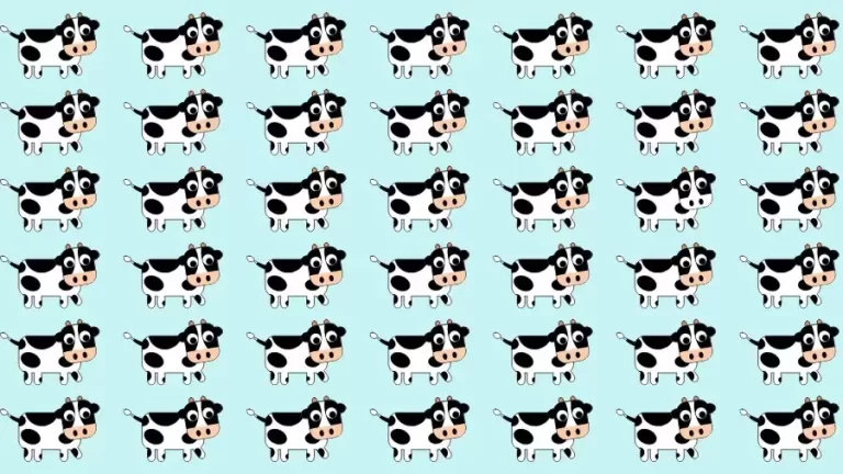 Optical Illusion Brain Challenge: If you have Hawk Eyes Find the Odd Cow in 9 Secs