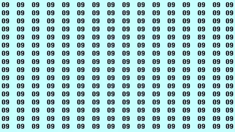 Observation Brain Challenge: If you have Hawk Eyes Find the Number 89 among 09 in 15 Secs