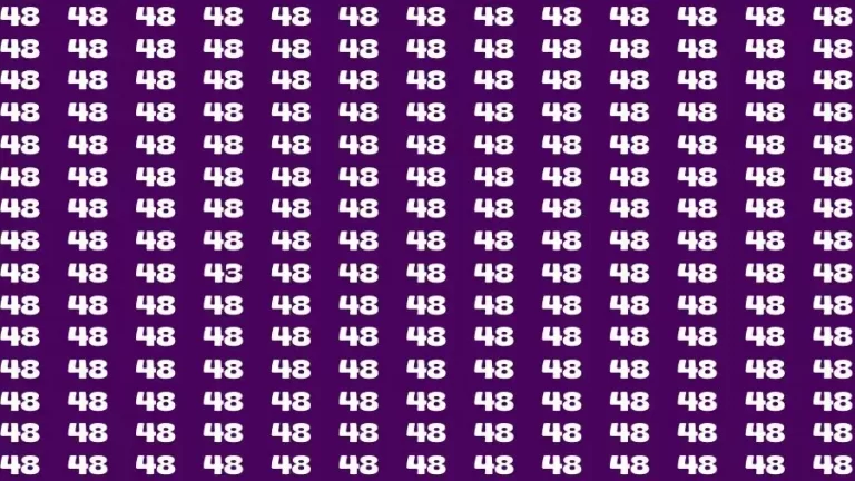 Observation Brain Test: If you have 50/50 Vision Find the Number 43 among 48 in 15 Secs