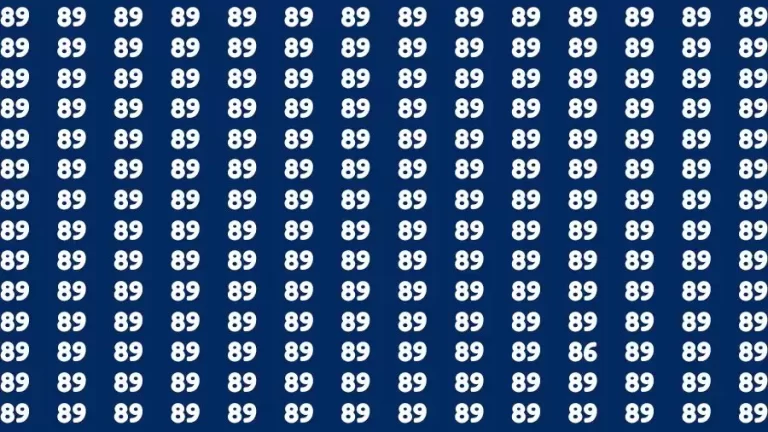 Observation Find it Out: If you have Sharp Eyes Find the number 86 among 89 in 20 Secs