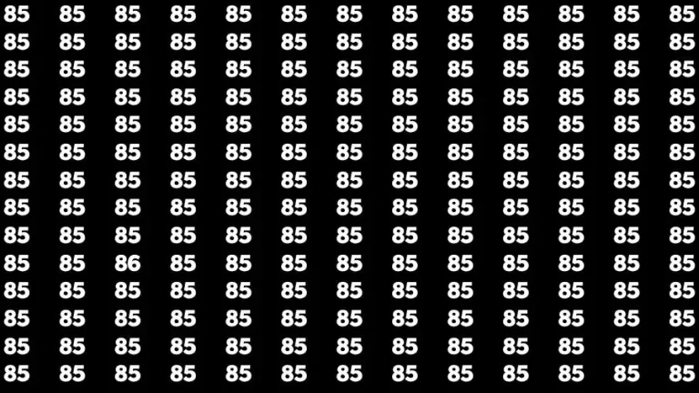 Optical Illusion Brain Challenge: If you have Hawk Eyes Find the Number 86 in 8 Secs