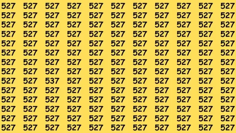 Observation Brain Challenge: If you have Hawk Eyes Find the Number 537 among 527 in 15 Secs