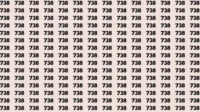 Optical Illusion Brain Test: If you have Eagle Eyes Find the Number 728 in 15 Secs