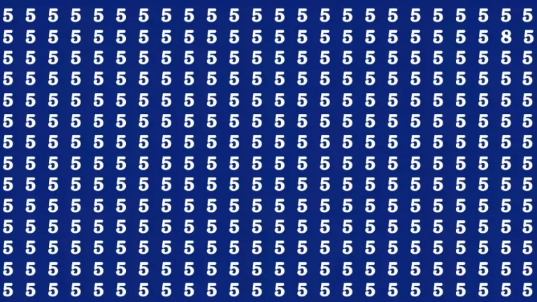 Observation Brain Test: If you have Hawk Eyes Find the Number 8 among 5 in 15 Secs