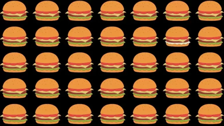 Optical Illusion Brain Test: If you have Eagle Eyes find the Odd Burger in 15 Seconds