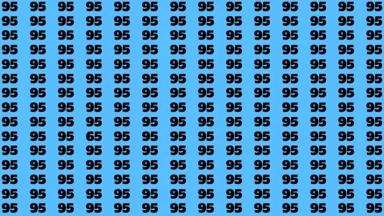 Observation Skill Test: If you have Eagle Eyes Find the Number 65 in 15 Secs