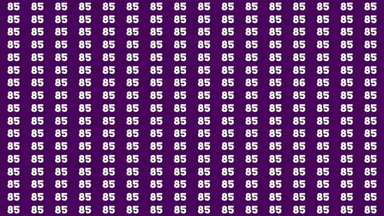 Observation Visual Test: If you have Eagle Eyes Find the number 86 among 85 in 12 Secs