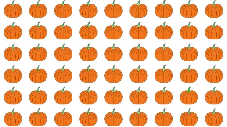 Optical Illusion Brain Test: If you have Eagle Eyes find the Odd Pumpkin in 15 Seconds