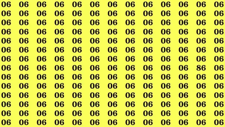 Optical Illusion Brain Challenge: If you have 50/50 Vision Find the number 86 among 06 in 12 Secs