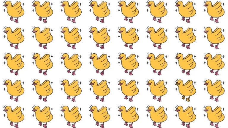 Optical Illusion Brain Test: If you have Eagle Eyes find the Odd Duck in 15 Seconds