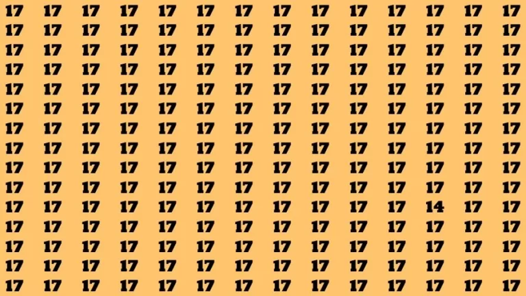 Optical Illusion Brain Challenge: If you have 50/50 Vision Find the number 14 in 12 Secs