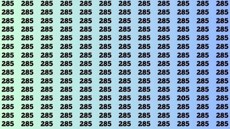 Optical Illusion Brain Challenge: If you have 50/50 Vision Find the number 205 in 12 Secs