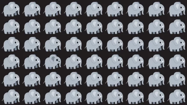 Optical Illusion Challenge: If you have Eagle Eyes find the Odd Elephant in 15 Seconds