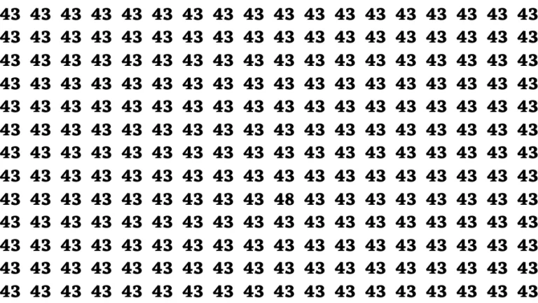 Observation Visual Test: If you have Eagle Eyes Find the number 48 in 12 Secs