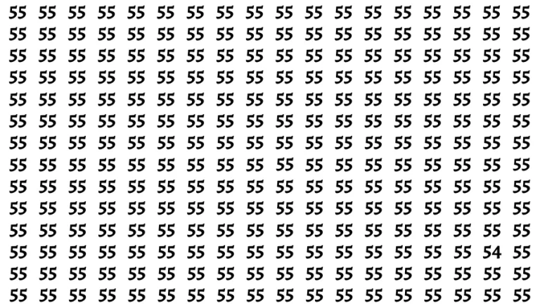 Observation Find it Out: If you have Sharp Eyes Find the number 54 in 20 Secs